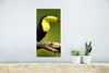 MuchoWow® Poster Vogel - Tukan - Regenbogen - Grün - Zweig Produktbild-Vorschau 5