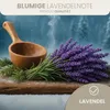 HAF Saunaaufguss Lavendel 250 ml - Sauna Aufgussmittel - Produktbild-Vorschau 2