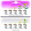 Žiarovka Rastová lampa LED PLANTY E27 40W osvetlenie Náhľad obrázku produktu 7