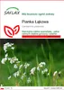 SAFLAX - Pianka Łąkowa - 100 Nasiona - Cardamine pratensis Podgląd zdjęcia produktu 1