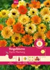 Artikelbild 1 von 'Ringelblume Pacific Mischung' aus der Kategorie Ringelblumensamen Produktbild-Vorschau