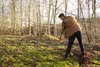 CAT Laub und Gras-Rechen 19 Zinken K-Serie Produktbild-Vorschau 2