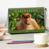 Nasenaffen von Borneo (Tischkalender 2027 DIN A5 quer), Produktbild-Vorschau 3