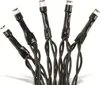 A close-up view of several black LED string lights with clear bulbs. Voir les images du produit