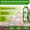 TTL GARDEN Rankhilfe Obelisk L 165x40cm braun – Rankgitter Produktbild-Vorschau 5