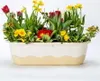 Cassetta auto-irrigante MARETA in plastica 60x20x18cm Anteprima dell’immagine prodotto 4