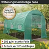 BRAST Gewächshaus Foliengewächshaus mit Stahlfundament | Produktbild-Vorschau 2