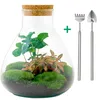 Flaschengarten Set – Sammie Coffea – DIY Terrarium – 26 cm Produktbild-Vorschau 1