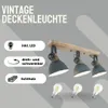 STEINHAUER 2133GR I Strahler Deckenlampe Vintage Industrie Produktbild-Vorschau 2
