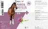 REAVET Mariendistelöl für Hunde & Pferde 1 Liter – Produktbild-Vorschau 4