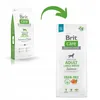Two bags of Brit Care dog food are shown, with a green arrow indicating a transition or update from the older packaging to the newer one. Náhled obrázku produktu