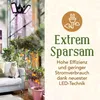 A living room scene with plants and a cat, featuring a grow light and marketing text. Produktbild-Vorschau