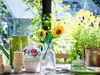 Lego 40524 Botanicals - Tournesols Voir les images du produit 4