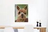 MuchoWow® Poster Lama - Braun - Makro 60x80 cm - Produktbild-Vorschau 5