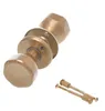 Aqbau® Türknopf Gold Drehbar auf Rundrosette | Knopfdrücker Produktbild-Vorschau 6