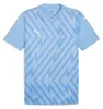 PUMA Unisex Teamglory Jersey Fußballtrikot Produktbild-Vorschau 1