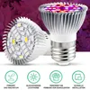 Two LED grow lights are shown, with one in focus and the other slightly behind it. The background is a blurred image of purple leaves. Below the lights are four circular icons with text. Produktbild-Vorschau