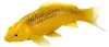 Mojo Sealife Koi Karper - Kin Matsuba Koi - 381105 Anteprima dell’immagine prodotto 1