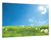 Wallario Wandbild Sommerwiese - Weiße Gänseblümchen vor Produktbild-Vorschau 2
