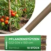 Pręt ogrodowy KBT 1500/12-14 mm, opak. 10 szt., bambus, Podgląd zdjęcia produktu 2