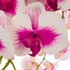 Künstliche Orchidee Kaskaden Blumenstrauß Creme und Rosa im Produktbild-Vorschau 6