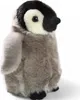 A plush toy penguin chick is shown against a white background. Produktbild-Vorschau