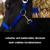 Halfter Fohlen Halfter für Mini Shetty Halfter für Produktbild-Vorschau 2
