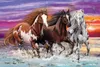 Schmidt Spiele Wildes Pferde-Trio, 200 Stück(e), Tiere, 8 Produktbild-Vorschau 2