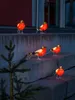 LED-roodborstjes, set van 5, met 40 koud-witte LED's, 24V Productafbeelding-voorbeeld 4