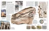 Steine & Mineralien Produktbild-Vorschau 6