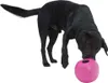 Hundespielzeug BUSTER Futterwürfel Kirsche 12cm, L Produktbild-Vorschau 3