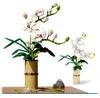 Stavebnice COIL play, kvety z kociek, phalaenopsis, Náhľad obrázku produktu 6