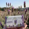 Nesti Dante Colli Fiorentini Lavender (Handseife, Anteprima dell’immagine prodotto 6