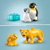 LEGO DUPLO Wildtier-Familien: Pinguine und Löwen – Produktbild-Vorschau 4