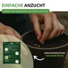 Gemüsesamen Set - 12 Sorten Samen - Saatgut Sortiment - Produktbild-Vorschau 7