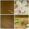 Bild auf Leinwand - Leinwandbild - Asien spa bambus blume - Produktbild-Vorschau 8