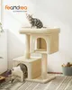 Two cats interacting with a cat tree indoors. Produktbild-Vorschau