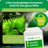 Purgrün Palmendünger 1 Liter Produktbild-Vorschau 3