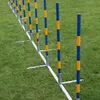 Agility-Slalom-Set, Stangen-Set, Profi – 12 Stangen – Produktbild-Vorschau 1