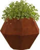 vidaXL Bac à plantes rouillé 50 x 50 x 40 cm Acier Voir les images du produit 2
