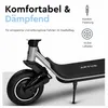Aptum Lite C3 MAX E-Scooter mit Straßenzulassung, 400W Produktbild-Vorschau 4