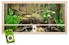 Repiterra® Terrarium Seitenbelüftung Holzterrarium OSB Holz Produktbild-Vorschau 1