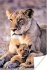 MuchoWow® Poster Löwin - Löwe - Junges 80x120 cm - Produktbild-Vorschau 2