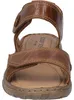 JOSEF SEIBEL Debra 58 | Sandalo da  Donne | marrone Anteprima dell’immagine prodotto 5