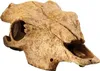 Exo Terra Versteck Buffalo Skull Produktbild-Vorschau 6