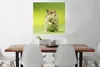 MuchoWow® Poster Nahaufnahme eines Hamsters vor einem Produktbild-Vorschau 2