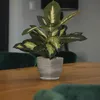 Keramische pot, plantenpot, bloempot, overpot, plantenbak, Productafbeelding-voorbeeld 9