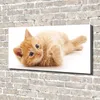 Tulup® Leinwandbild - 140x70 cm - Wandkunst - Drucke auf Produktbild-Vorschau 2
