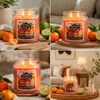 Balthasar 810032.004, Zylinder, Orange, Mandarine, 100 h, 1 Produktbild-Vorschau 7