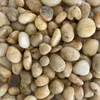 FLUSSKIESEL, Kieselsteine 20-60mm. 1kg. BERNSTEIN Produktbild-Vorschau 1